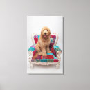 Pesquisar por teste padrão impressão de canvas Fotografia