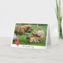 Pesquisar por funny valentine cartoes Happy valentine's day