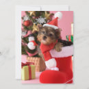 Pesquisar por costumes cartoes Dog