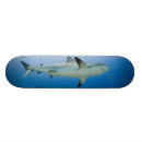 Pesquisar por caribe skates Oceano