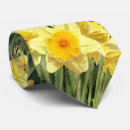 Pesquisar por amarelo do daffodil gravatas Primavera