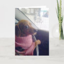 Pesquisar por dachshund puppy cartoes Dog