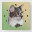 Pesquisar por gato preto branco relogios de parede Gatos