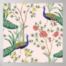 Pesquisar por pássaros exóticos pósteres Desenhado à mão