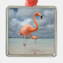 Pesquisar por flamingos ornamentos Tropical