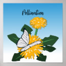Pesquisar por polinização pôsteres pósteres Flor