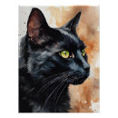 Pesquisar por olhos verdes gato preto pôsteres pósteres Senhora louca do gato