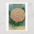 Pesquisar por jardins de rosas cartoes postais Vintage