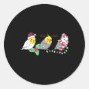 Pesquisar por cockatiel adesivos Papagaio