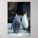 Pesquisar por pinguim de rei pôsteres pósteres Para todos