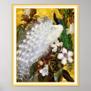 Pesquisar por pavão pósteres Branco