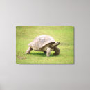 Pesquisar por o gigante impressão de canvas Animais selvagens