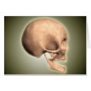 Pesquisar por representação cartoes postais Mandíbula