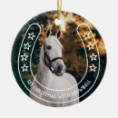 Pesquisar por cavalo ferradura de natal decoração Foto