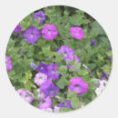 Pesquisar por fundo floral adesivos Qualquer pessoa