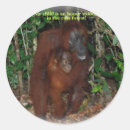 Pesquisar por mãe natureza adesivos Animal