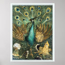 Pesquisar por ele png pôsteres pósteres Para ela