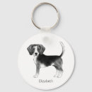 Pesquisar por beagle chaveiros Moderno