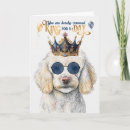 Pesquisar por poodle cartoes Cães