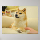 Pesquisar por doge pôsteres pósteres Meme