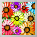 Pesquisar por gerberas pôsteres pósteres Flores coloridas