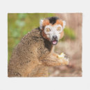 Pesquisar por lemur Madagascar