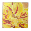 Pesquisar por tulips azulejos Flores
