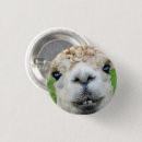 Pesquisar por alpaca botons Engraçado