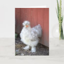 Pesquisar por furado horizontal cartoes Engraçado