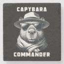 Pesquisar por capivara cozinha jantar Capy