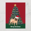 Pesquisar por cão papai noel cartoes postais Pug