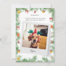 Pesquisar por pet natal cartoes Natal de estimação