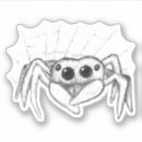 Pesquisar por web de aranha Para todos