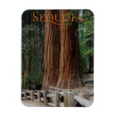 Pesquisar por king imas Califórnia