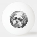 Pesquisar por shih tzu Animais de companhia