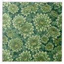 Pesquisar por crisântemos azulejos Planta
