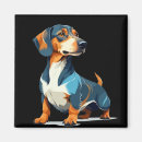 Pesquisar por teckel Cão