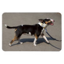 Pesquisar por ovo chocolate imas Fofofo