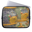 Pesquisar por sudoeste capas Colorida