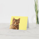 Pesquisar por humor felino cartoes Humor de gato
