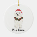 Pesquisar por maltês natal ornamentos Bichon