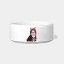 Pesquisar por camisas animais estimação acessórios Gato