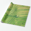 Pesquisar por arroz papel papel de presente Natureza