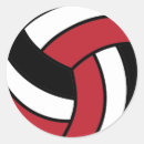 Pesquisar por jogadores de voleibol adesivos Qualquer pessoa