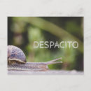 Pesquisar por motte cartoes postais Motto