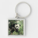 Pesquisar por gigantes chaveiros Panda