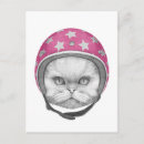 Pesquisar por gatos persas cartoes postais Estrelas