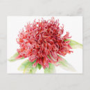 Pesquisar por arte australiana cartoes postais Pintura