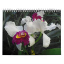 Pesquisar por orquídea calendarios Tropical