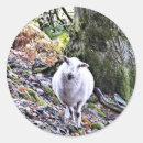 Pesquisar por bovino adesivos Agricultura